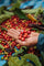 What Happens When Coffee Becomes a Classroom? A Lesson in Planting, Purpose, and Possibility