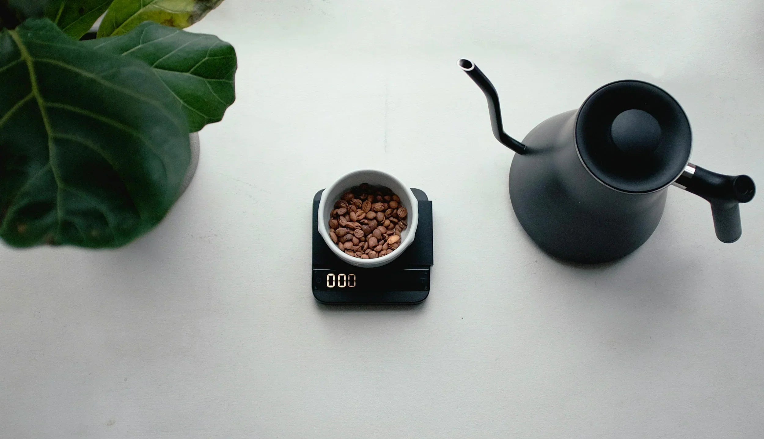 How Do We Get More People to Fall in Love with Specialty Coffee?
