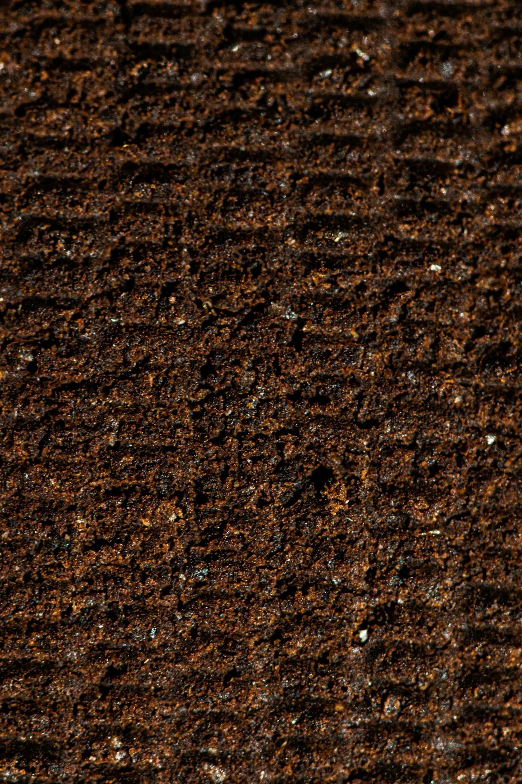 Why Coffee Grounds in Your Car Could Be the Smarter, More Sustainable Hack You Haven’t Tried Yet