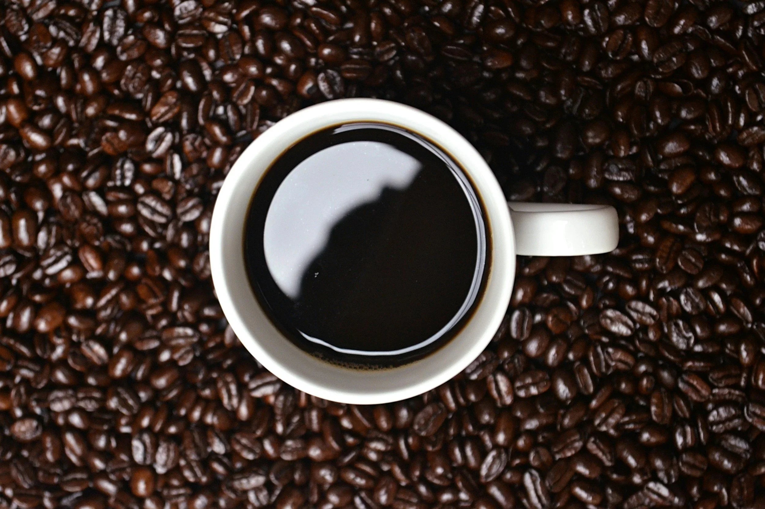 Coffee and Body Fat: What Your Daily Cup Really Does (and Doesn’t) Do