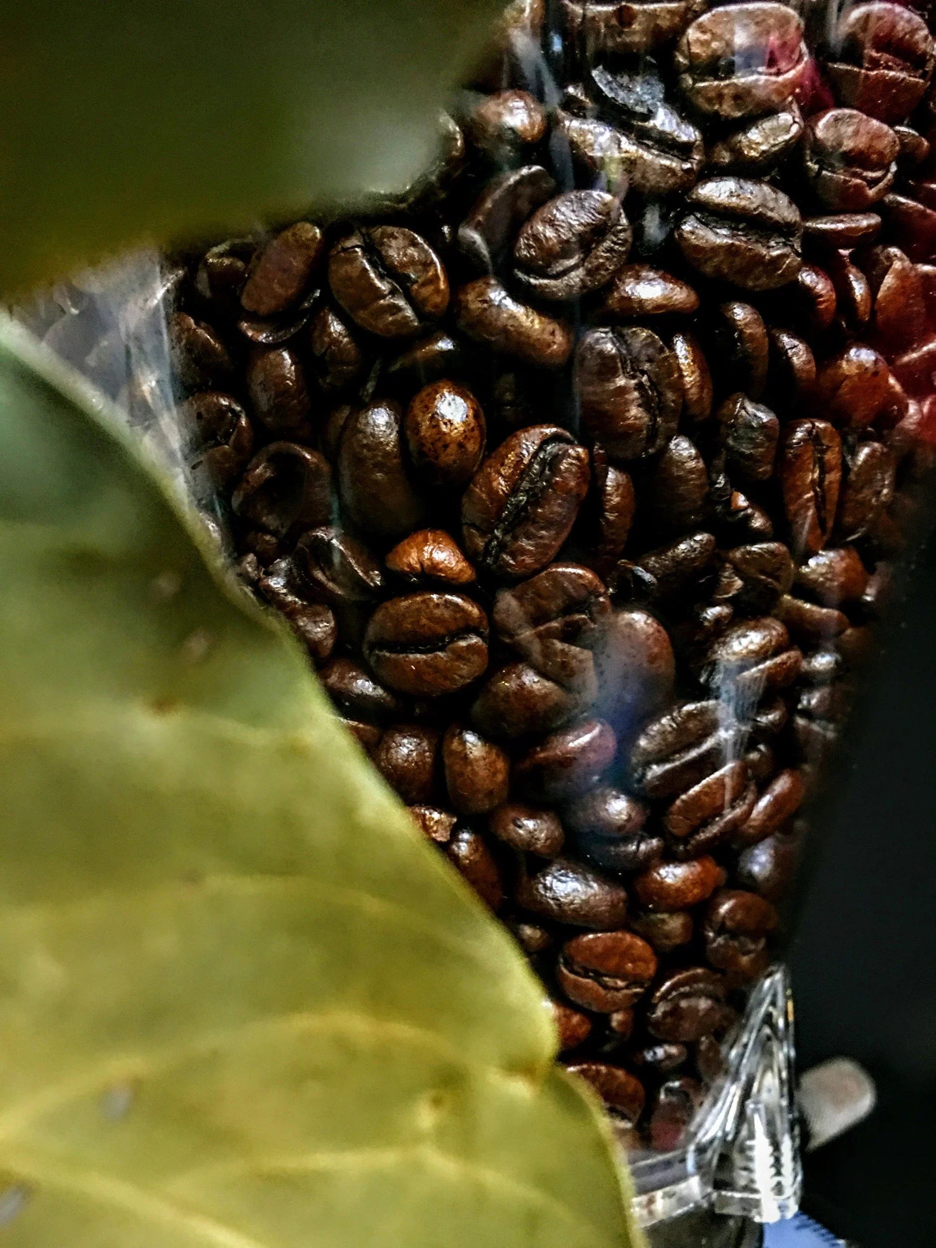 The One Thing Most People Forget After Buying Great Coffee