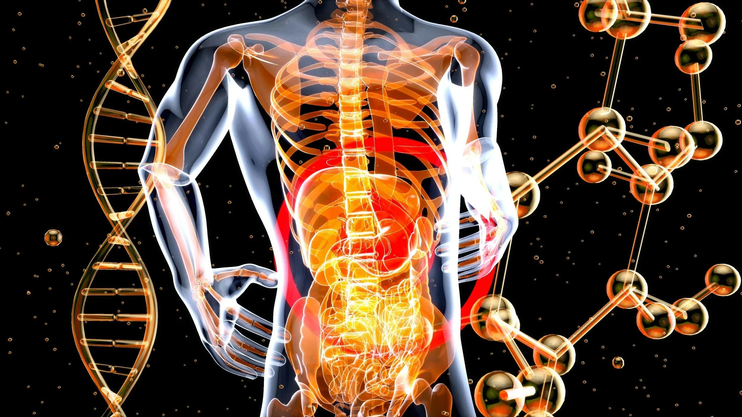 Does Coffee Really Help Digestion? Here’s What You Should Know