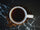 Why Light Roast Black Coffee Might Be the Healthiest Cup You Brew This Year ☕