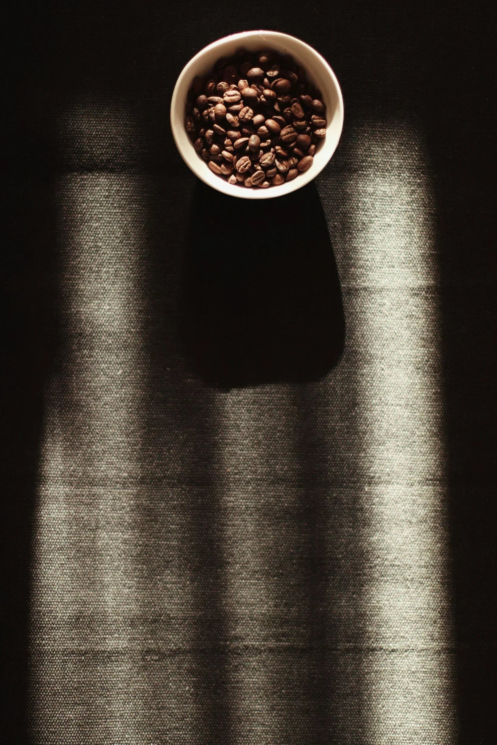 Why African Coffee Varieties Are Thriving in El Salvador And What It Means for the Future of Specialty Coffee
